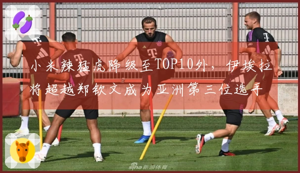 小米辣猛虎降级至TOP10外，伊埃拉将超越郑钦文成为亚洲第三位选手