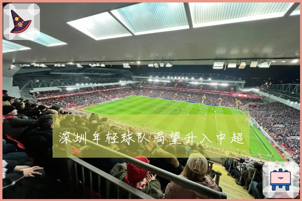 深圳年轻球队渴望升入中超