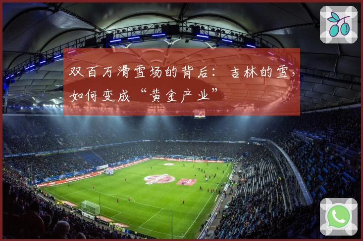 双百万滑雪场的背后：吉林的雪，如何变成“黄金产业”