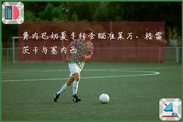 费内巴切夏季转会瞄准莱万、格雷茨卡与塞内西