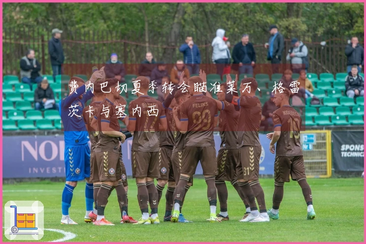 费内巴切夏季转会瞄准莱万、格雷茨卡与塞内西